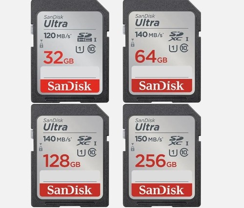 Scheda memoria sandisk - scheda,