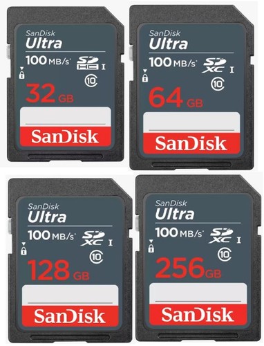 Scheda memoria sandisk - memoria,